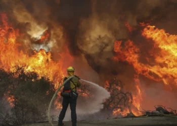 Wildfires burned nearly 500,000 hectares in EU in 2023, report says