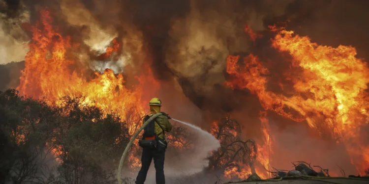 Wildfires burned nearly 500,000 hectares in EU in 2023, report says