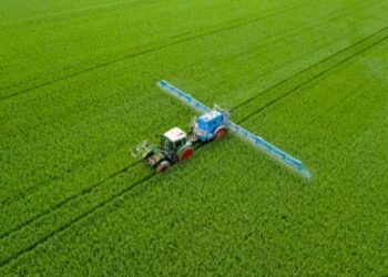 the scandalous situation with duties on fertilizers from Russia — EADaily, November 24th, 2024 — Economics, Russia