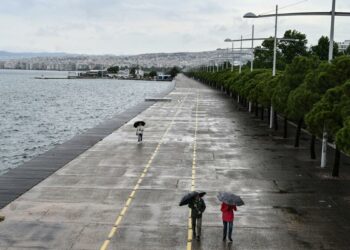 Storm Bora kills two in Greece, sparks weather warnings – News Storm Bora kills two in Greece, sparks weather warnings – News