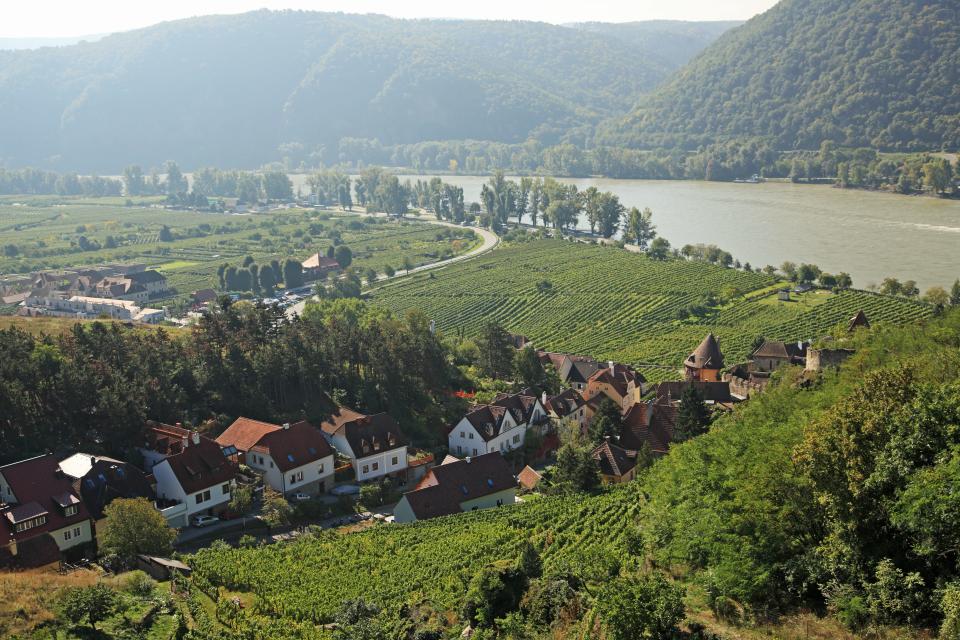 Aerial view of wineries, trees, and homes in Wachau