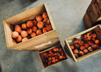 Small Grocery Stores Drive Bulgaria’s GDP Despite Hypermarket Competition – Novinite.com