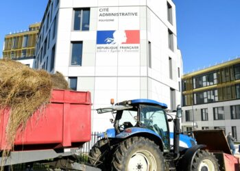 France will oppose the Mercosur treaty right until the end – POLITICO France will oppose the Mercosur treaty right until the end – POLITICO