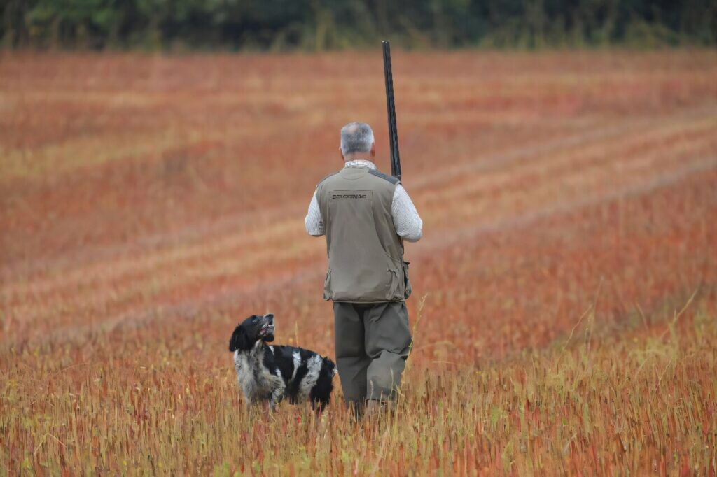 Wildlife commission lowers European wolf protections