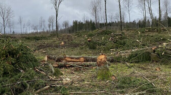 Estonian businesses call for impact analysis on EU 2040 climate goals | News