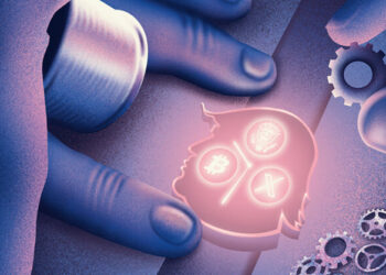 The counter-elite gambled on Trump and won The counter-elite gambled on Trump and won