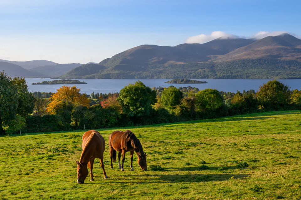 The Killarney National Park is a natural reserve located in County Kerry, Ireland, known for its breathtaking landscapes and rich biodiversity.