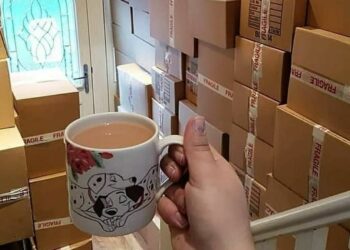 British businesses stop shipping to Northern Ireland due to updated rules | Money News