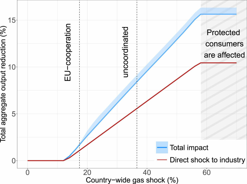 What Austria and Europe have learned from their dependence