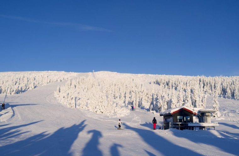 Gorgeous sunshine and fantastic downhill skiing slopes at the upper Boeeseter lift in Norefjell in January 2016