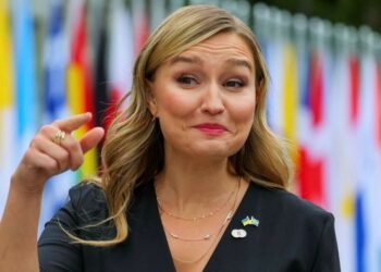 Sweden open to power cable project if Germany reforms, minister says