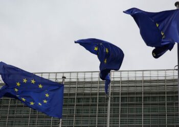 Industry and NGOs spell out EU food policy demands