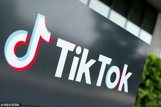 TikTok is banned in several countries, including India, Iran, Nepal, Afghanistan and Somalia. (File image)