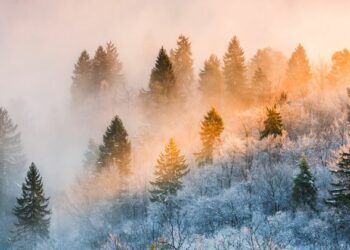 Body of missing Hungarian hiker found in Slovenia