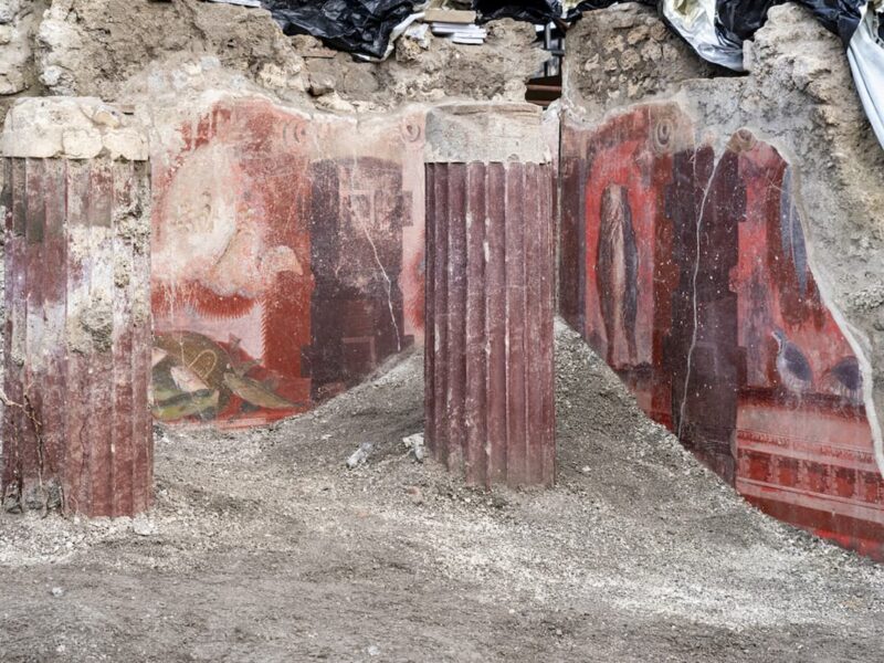 A Colonnaded Hall with Exceptional Frescoes of Hunting and Fishing Still Lifes Found in Pompeii