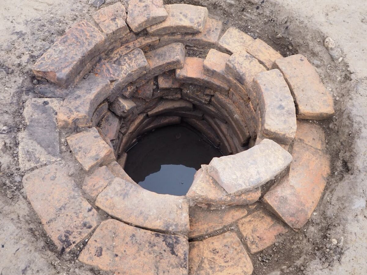 A Roman Well with Walnuts, Hazelnuts, and Grape Seeds Found in Bassa Friulana, Northeastern Italy