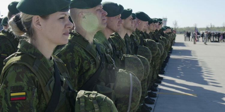 A hedgehog in Russia’s throat? Understanding Lithuania’s citizen army