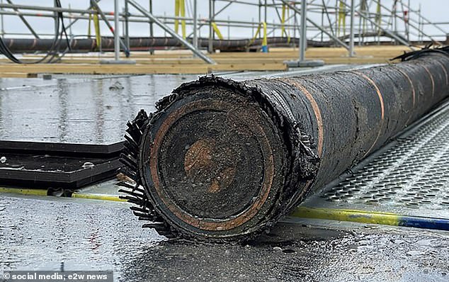 The Estlink-2 power cable (pictured), which transmits energy from Finland to Estonia across the Baltic Sea, went down on December 25 after an evident rupture