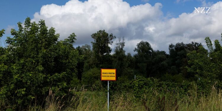 Despite war, trade across Poland-Belarus border goes on