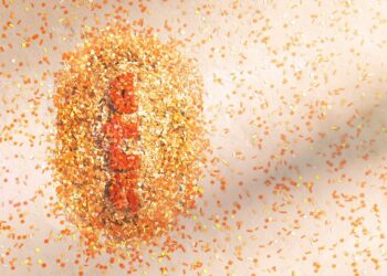 ARTE, the European culture TV channel, free and on demand ARTE, the European culture TV channel, free and on demand