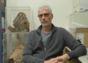 Asian hornet: Everything you need to know about Europe’s invasion