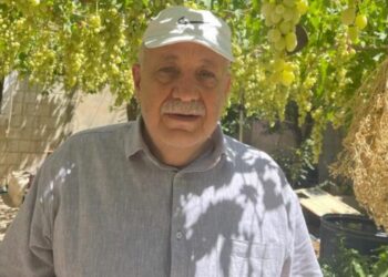 BBC Arab expert — EADaily, December 11th, 2024 — Politics, Russia