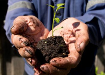 Bulgaria opposes proposed EU seed regulation after pro-Russian party push