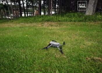 Closing the net: Finland and Sweden join forces to fight illegal salmon fishing Closing the net: Finland and Sweden join forces to fight illegal salmon fishing