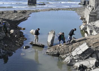 Council of Europe urges caution as European countries halt Syrian asylum claims