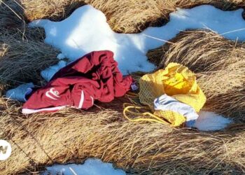 Croatia’s ‘invisible migrants’ – DW – 12/12/2024