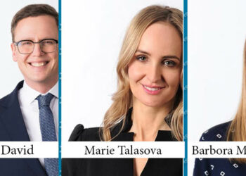 Czech Parliament Discusses Measures to Cut Renewable Energy Subsidies, Focusing on Solar Power Plants