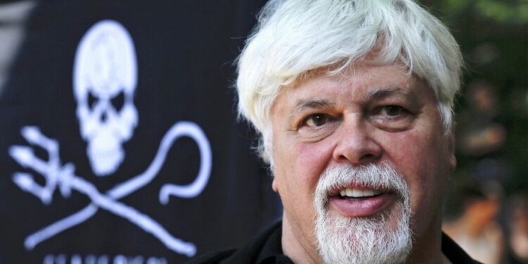 Denmark frees anti-whaling activist Paul Watson and refuses Japan extradition request