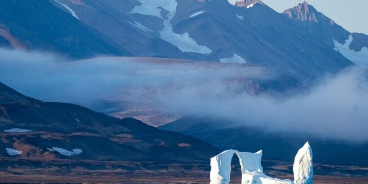 Denmark to boost Greenland’s defence after Trump repeats controversial remarks seeking US ownership