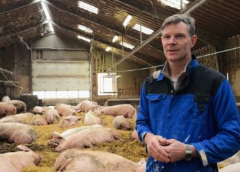 Denmark’s carbon tax on livestock: a model for Europe? Denmark’s carbon tax on livestock: a model for Europe?