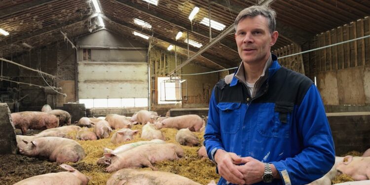 Denmark’s carbon tax on livestock: a model for Europe?