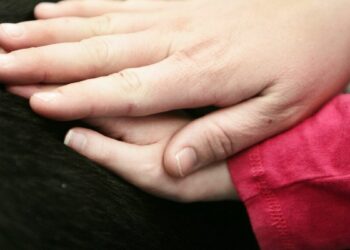 EU ministers water down proposal on child sexual abuse