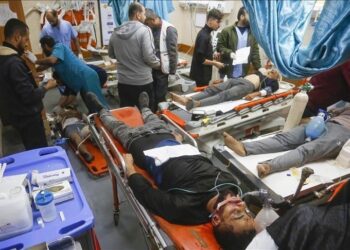 EU organizes medical evacuation of 8 patients from Gaza to Europe EU organizes medical evacuation of 8 patients from Gaza to Europe