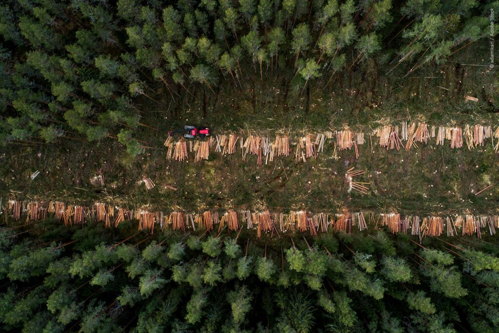 EUDR: European Parliament gives extra year to comply with deforestation rules