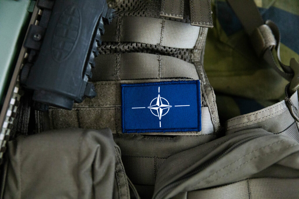 Estonian intelligence chief warns that NATO must deter Russia for next 20 years