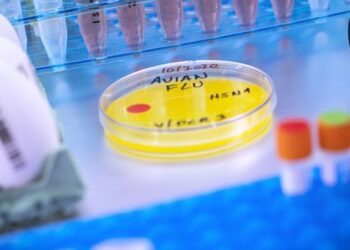 Europe increases bird flu monitoring – is it the next Disease X? – Euractiv