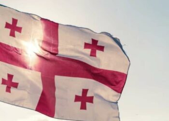 European parliament members visiting Tbilisi join protesters – video