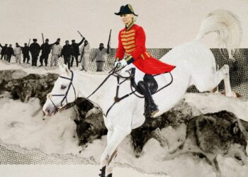 Europe’s growing wolf problem | The Week Europe’s growing wolf problem | The Week