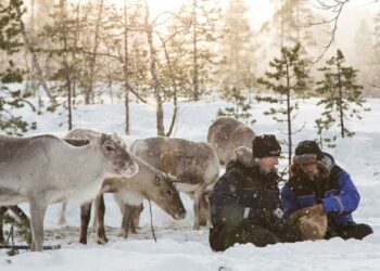 Europe’s little fairytale village that’s much cheaper than pricy Lapland tourist hotspot | Europe | Travel