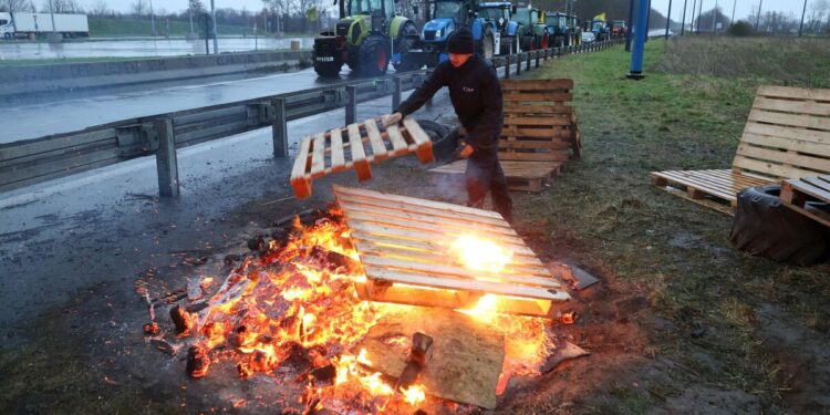 Farmers light fires and block roads at border between France and Belgium in fury over EU | World | News