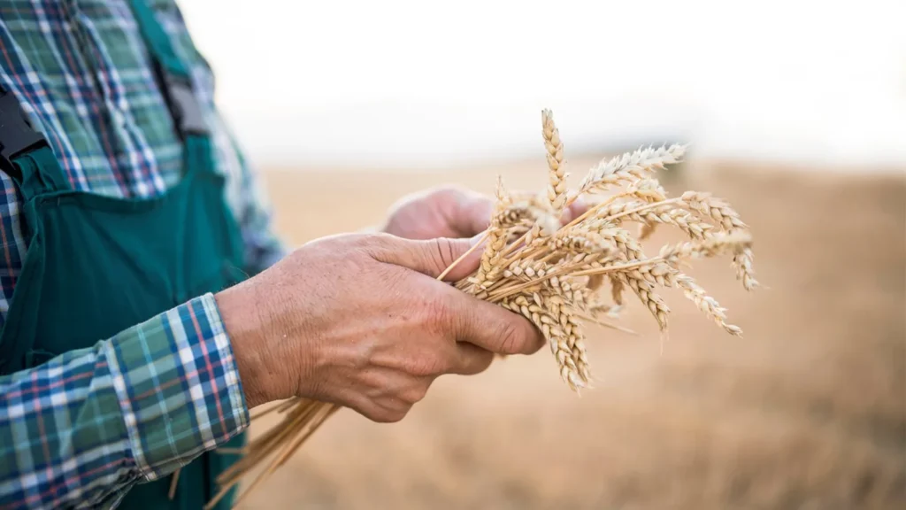 Financing regenerative agriculture in Europe