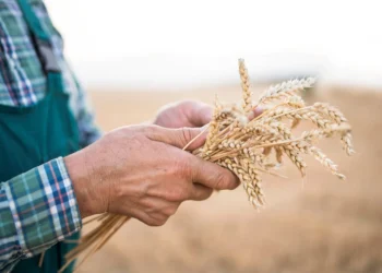 Financing regenerative agriculture in Europe Financing regenerative agriculture in Europe