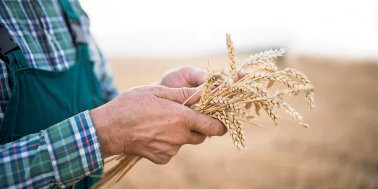 Financing regenerative agriculture in Europe