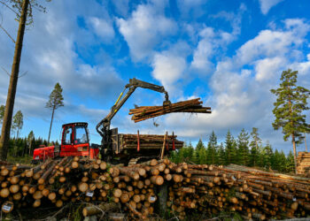 Finland’s forest industry exports total Euro 3.16 billion in Q3, with 15% annual growth
