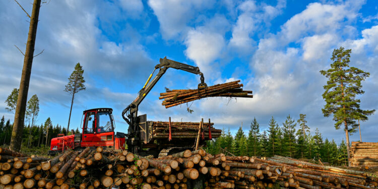 Finland’s forest industry exports total Euro 3.16 billion in Q3, with 15% annual growth