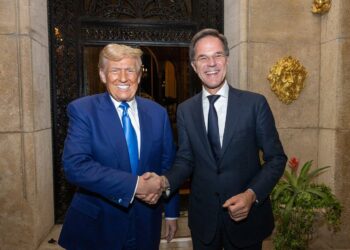 ‘For Donald Trump, Europe’s security is not about politics or morals, but about providing a service that deserves compensation’